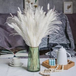 Decorative Flowers Dried Pampas Grass Decor Natural Reed Plants Fluffy Wedding Bouquets Arrangement Boho Home Party Decorations