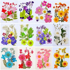 装飾的な花ウェディングブライダルメイクアップホリデーギフトカードのための手作りの自然な乾燥花DIY 100pcs無料貨物