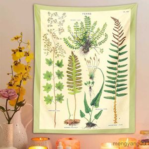 Taquestres Ferns Tapestry Parede Pendurada Flores Retro Impressão Floral Ilustração Identificação Diagrama da parede Decoração de arte R230812