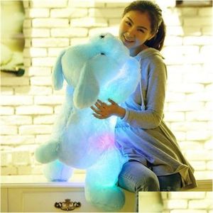 Animais de pelúcia de pelúcia 1pc 50cm Luminous Dog Doll Colorf Led Dogs Growing Dogs Toys para garotas Kidz Birthday Gift WJ445 LJ200902 DHMYS