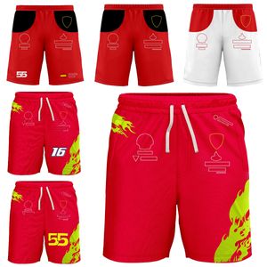 2023 Nuovi tifosi della squadra di F1 Pantaloncini da uomo di Formula 1 Pantaloncini da corsa Appassionati di sport estremi Pantaloncini traspiranti Casual Beach Mens Pantaloni corti