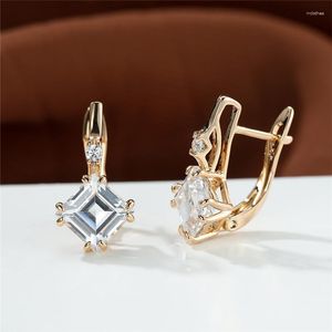 Hoop Earrings Luxury Female Square Small Stone White Zircon Purple Crystal Rose Gold Color For Women