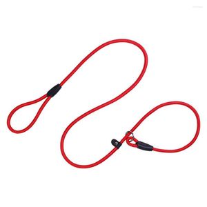 Dog Collars Slip Lead Leash For Puppy Pet Small Dogs Training And Walking Nylon Rope Anti-Choking P-sharped Chains Collar