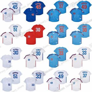 1982 Tim Raines Vintage Baseball Jerseys Larry Walker Steve Rogers Pedro Martinez Warren Cromartie Randy Johnson Guerrero Costurado Jersey