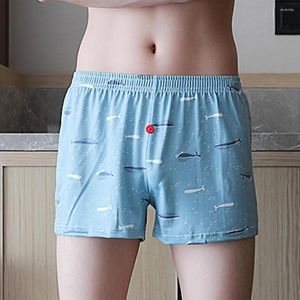 Underpants Soutong durevoli uomini slip leggeri umidità sexy che acciaio non facilmente deformato Breve casual casual