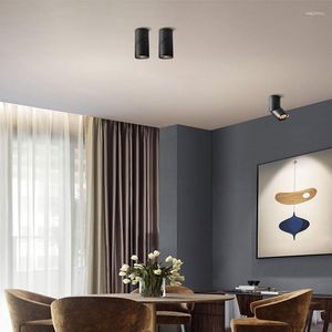 Luzes de teto Lâmpadas LEDs montadas na superfície do cilindro 10W AC110V-240V para sala de estar