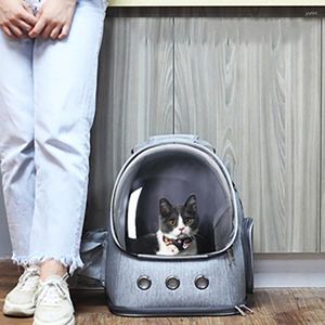 Cat Carriers Backpack Transparent Cats Bag Go Out Portable Space Summer Breathable Dog Large Capacity Storage Pet Backpacks