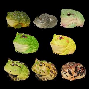 ブラインドボックスアニマルプラネット13カエルブラインドボックスモデルセラトフライCranwelli Ceratophrys Collector AnimalGKシーンデコレーションキッズギフトおもちゃ230812