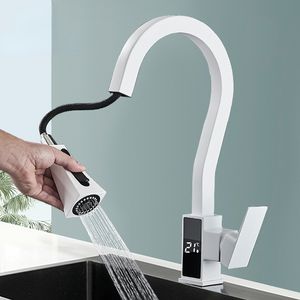 Kitchen Brass Pull Out Digital Temperature Display Faucet Flexible Dual Water Mode Sprayer Mixer Tap Crane