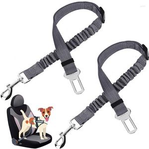 Colarinho de cachorro Pet Pet Champe Rope Safety Leashh Elastic Reflexivo para Cat Puppy Belt Travel Clip Strap Leads