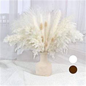 Flores decorativas Flor seca Decorações de pampa brancas naturais boho decoração de casa plantas rústicas