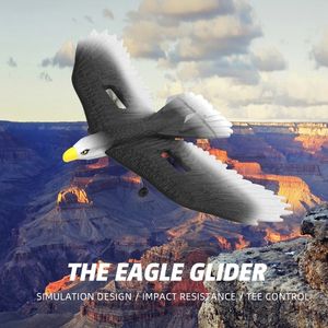 ElectricRC самолета Eagle RC Плана BM17 24G 3CH Бионный пульт дистанционного управления Glider Poam Poam Dired для детей 230812