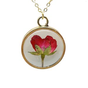 Hänge halsband röd ros äkta blommor transparent flytande locket guld färgkedja lång halsband kvinnor boho mode smycken älskar romantisk