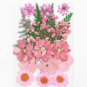 Flores decorativas 1 conjunto misto misto seco Folhas de flores plantas herbário para jóias Posta