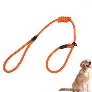 Dog Collars Leash Training With Comfortable Collar Bright Running Taining For Medium Large Dogs Hunting