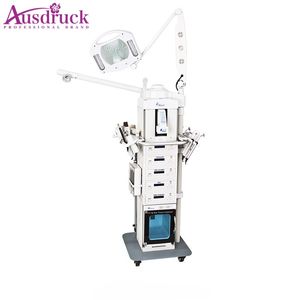 19 In1 Multifunctional Beauty Salon Equipment Salon Equipment Galvanic High Frequency Dermabrasion Facial Machine