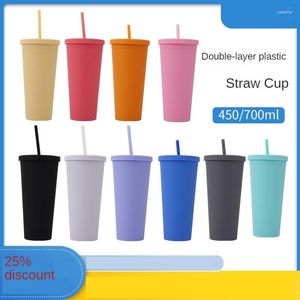 Water Bottles Double Plastic Straw Cup For Juice Outdoor Travel Car Bottle Skinny Tumbler With Lid And
