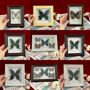 Decorative Objects Figurines Real Framed Assorted Butterflies Beautiful Framed Butterfly Wall Decor Unique Taxidermy Collectables Entomology Specimen 230814