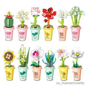 Block DIY Potted Plants Cup Succulents Cactus Mountain Lotus Dekorera byggstenar Modelluppsättningar Kits Toys R230814