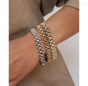 Link -Bänder Frauen Edelstahlschmuck Pave Watch Armband Titan Bracelet Chic Kleid Japan Südkorea Ins Mode