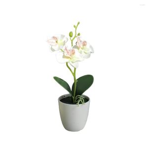 Decorative Flowers Plastic Fake Plants Simulation Flower Phalaenopsis Wedding Home Decoration Ornaments Artificial With Pot