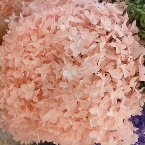 Decorative Flowers Real Dry Flower Hydrangea Dried Plants Natural DIY Frame Fan Embossing Materials Candle Christmas Decoration