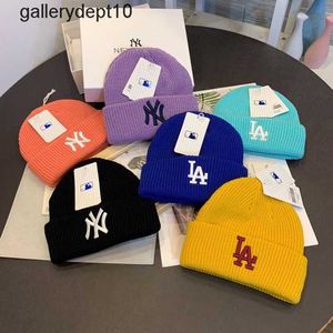 South Korea China-Chic brand NY small label woolen hat cold hat men's and women's outdoor warm hat parent-child net red