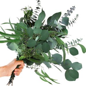 Flores decorativas grinaldas 12pcs misturadas folhas de eucalipto seco reais, caules preservados de bouquets de dólar de prata preservados para arranjos florais de vaso 230814