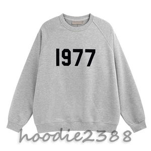 Men's Hoodies Essentail Sweatshirts Ess 1977 Designer esen Men's esenta pullover Sweatshirt Oversized garment top Quality Essen Lovers 8NCA