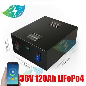 36V 120AH LifePO4漁船用BMSを備えたリチウムバッテリーソーラーシステムモーターEV +10A充電器