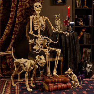 Other Event Party Supplies Skeleton animal 100 Plastic Animal Bones Horror Halloween Christmas Prop Crow Decoration Year 230815