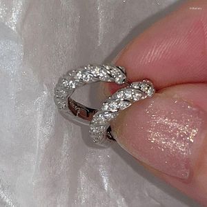 Hoop örhängen silver nål damer mode av hög kvalitet smycken dubbel rad kristall zirkon rund pläterad stud