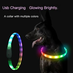 Dog Apparel Collar LED Light USB Discoloration Luminous Perro Luz Led Flashing Rechargeable Glowing For Pet 230814