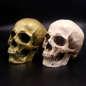 Novelty Items Human Skull Lifesize 11 Resin Replica Medical Model Aquarium Ornament Fish Tank Waterscape Cave Halloween Home Decoration J230815