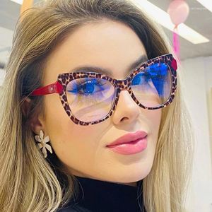 Sonnenbrille Retro Cat Eye Optical Flat Gläses Computer hochauflösend Antiblau-Licht transparente Linsen Lesen im Freien