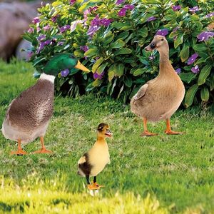 Garden Decorations 2D Arcylic Yard Ducks Figurine Countryside Bird Long Neck Sculpture Ornaments Multiuse Geese Stake For Farmland Lawn