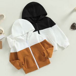 Hoodies Sweatshirts 1 5 yıllık Toddler Bebek Erkek Erkek Ceket Kontrast Renk Uzun Kollu Fermuar Bebek Kapanış Ceketi Cep 230815