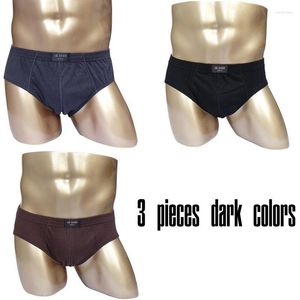 Underpants Lot Pack Mens Pure Cotton Underwear Briefs Comfortable High Quality Under Wear Mid Waist Panties Male Sexy