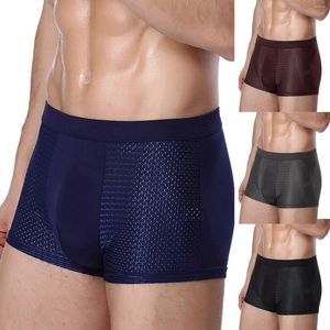 Underpants Men Sexy Boxers Underwear Blue Black L XL XXL 3XL Silky Cool Breathable Mesh Casual Sports Fashion Fitness Ventilate