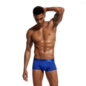 Underpants Men'S Boxer Shorts Briefs Modal Breathable Flat Corner Sexy Fit Quadrangle Tanga Trunk Cueca Calzoncillos