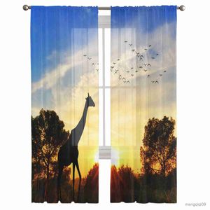 Curtain Giraffe Scenery Animal Plant Print Design Sheer Curtains for Living Room Translucidus Tulle Curtains Bedroom Chiffon Curtain