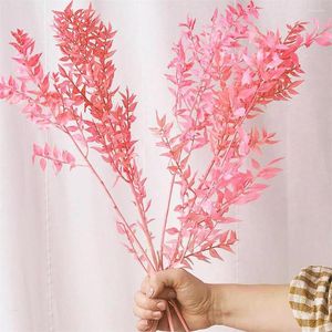 Fiori decorativi Eucalipto Eucalipto Pink Bianco Italiano Ruscus Bulk Naturale Foglie di piante conservate fresche per decorazioni Boho Weddings Vase