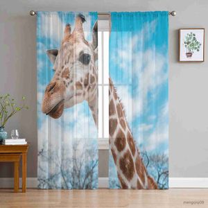 Curtain Blue Sky Giraffe Bedroom Tulle Curtains Hotel Home Decor Sheer Curtains for Living Room Chiffon Printed Drapes R230816