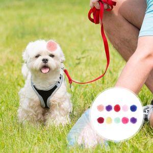 Canda per capelli abbigliamento per cani 20pcs Design colorato per piccoli fiocchi adorabili Accessori per toelettatura per cuccioli di copricapo (miscelato