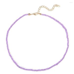 Choker Big Sale Bild bunte Perlen Halskette für Frauen Geschenk Modedesign Boho -Stil Sommerkleidung