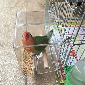 その他の鳥の供給Caitec Parrot Spill Proof Feed Box Food Container bite耐性小鳥に適した230816