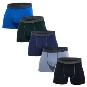 Underpants 5pcs Pack 2023 Männer Höschen Baumwolle Unterwäsche männliche Markenboxer und für Homme Lot Luxus -Set Sexy Shorts Gift Slip Sale 230817