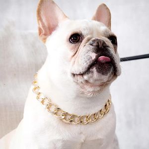 Collari per cani Pet Cat Gold Necklace Collar P Genera Regalo per la decorazione per cani che combattono accessori gioielli PO