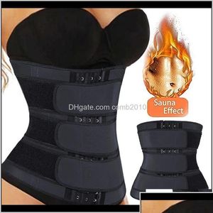 Treinador de barriga de barriga da cintura Sauna Sorno Sorto Cinturão 3 cores Modelando a alça do treino corporal TRIMER DE FIRNETURA CHERSET E DHDV3