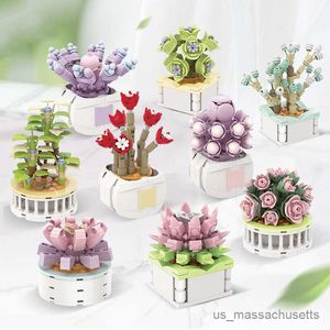 BLOCKS DIY Succulent Potted Model Building Blirs Mini Plant Bouquet Bonsai Home Decoration Girl Gift Children Monterade Toys R230817